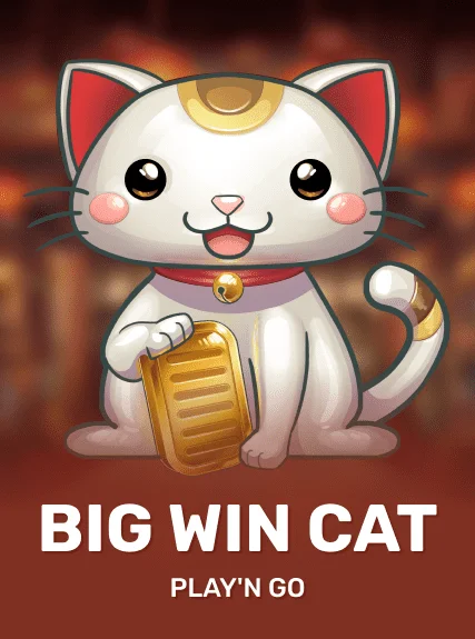 Big Win Cat